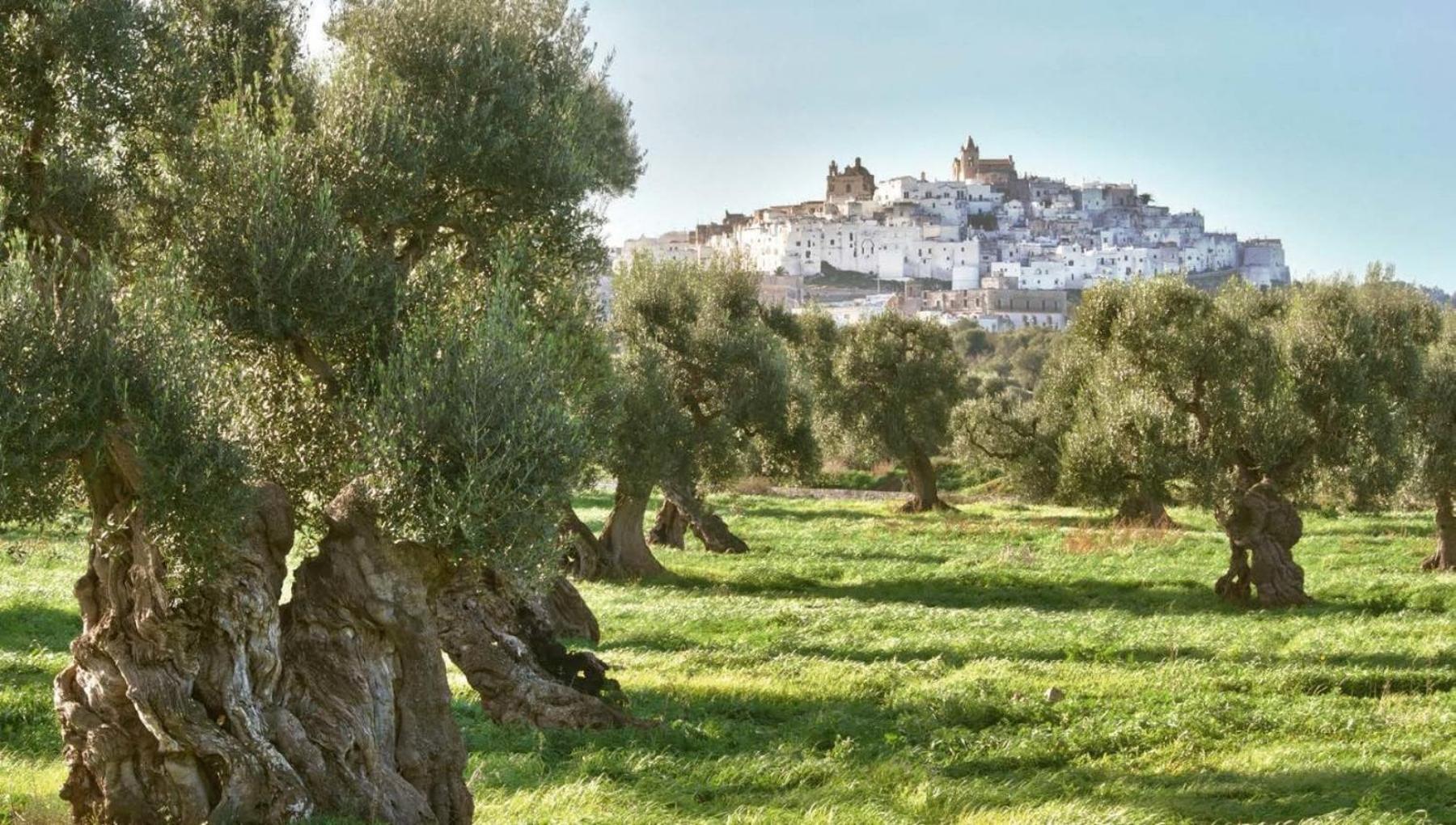 Dimora White 2.0 Villa Ostuni Eksteriør bilde